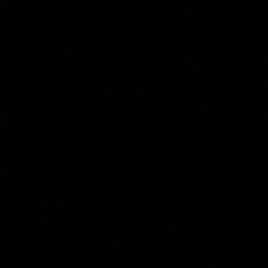 Meet your Posher, Rosezel